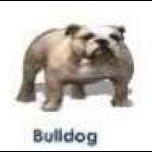 Meet your Posher, Corey